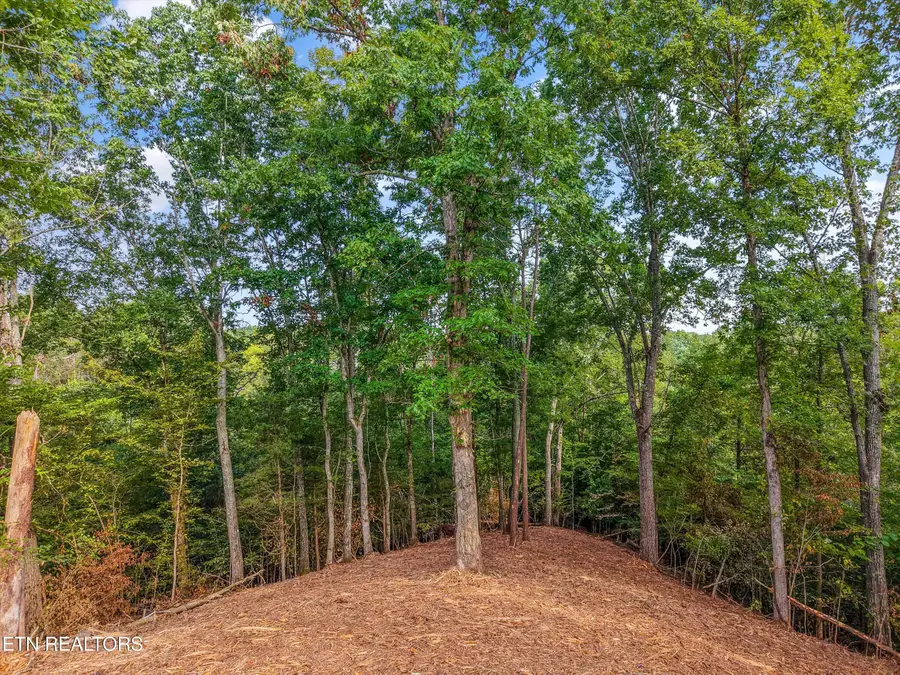 7826 Swaggerty Rd, Knoxville, TN 37920 - #3