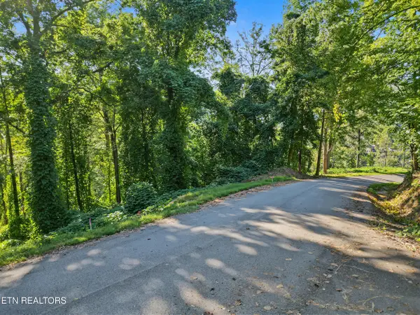 Lot 14 Davenport Rd, Gatlinburg, TN 37738