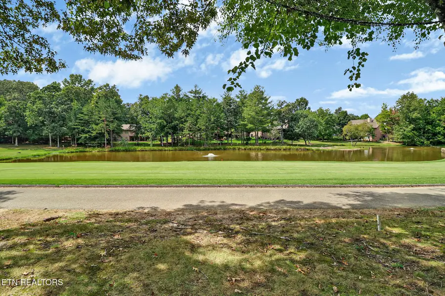 46 Westridge Court, Crossville, TN 38558 - #3