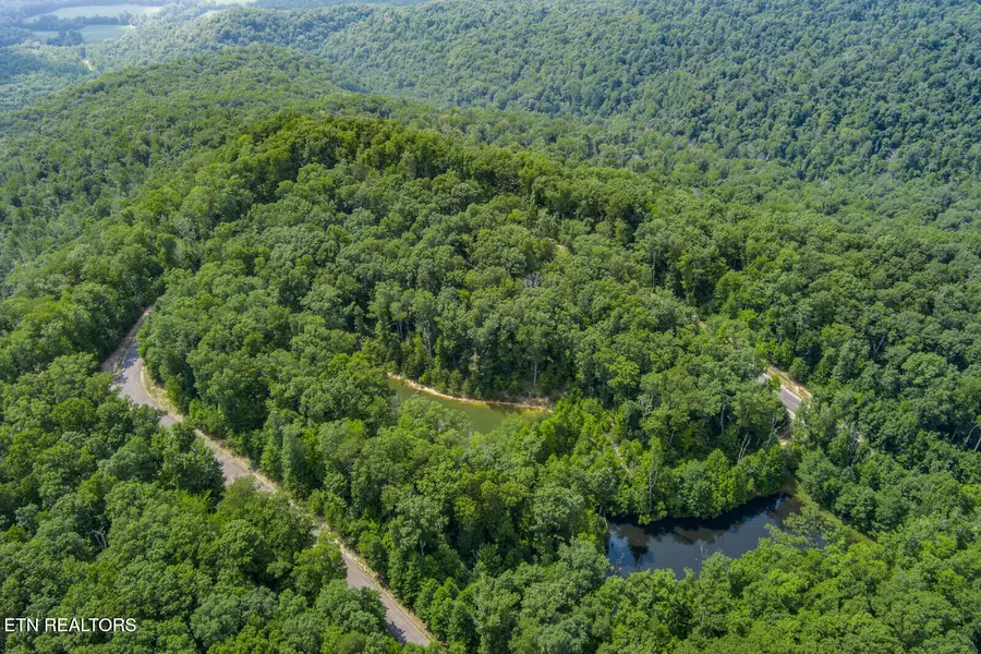 119 Westridge Tr, Monterey, TN 38574 - #3