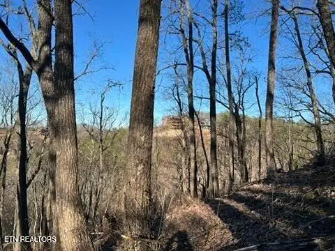 2353 Headrick Lead, Sevierville, TN 37862 - #2