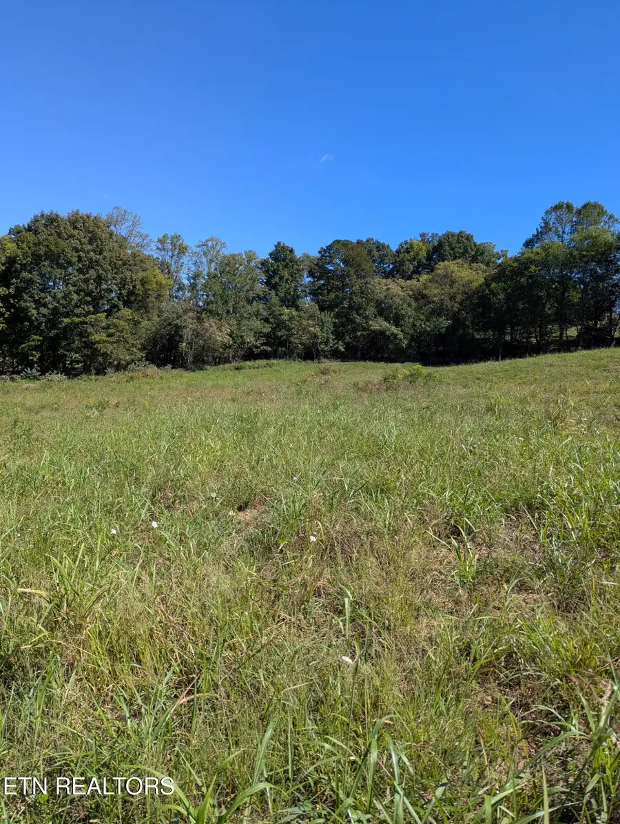 10816 Richland Rd, Mascot, TN 37806 - #2