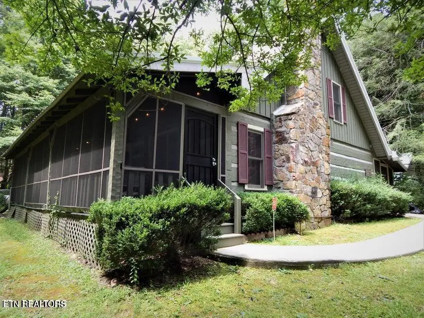 119 Misty Way, Cosby, TN 37722 - #3