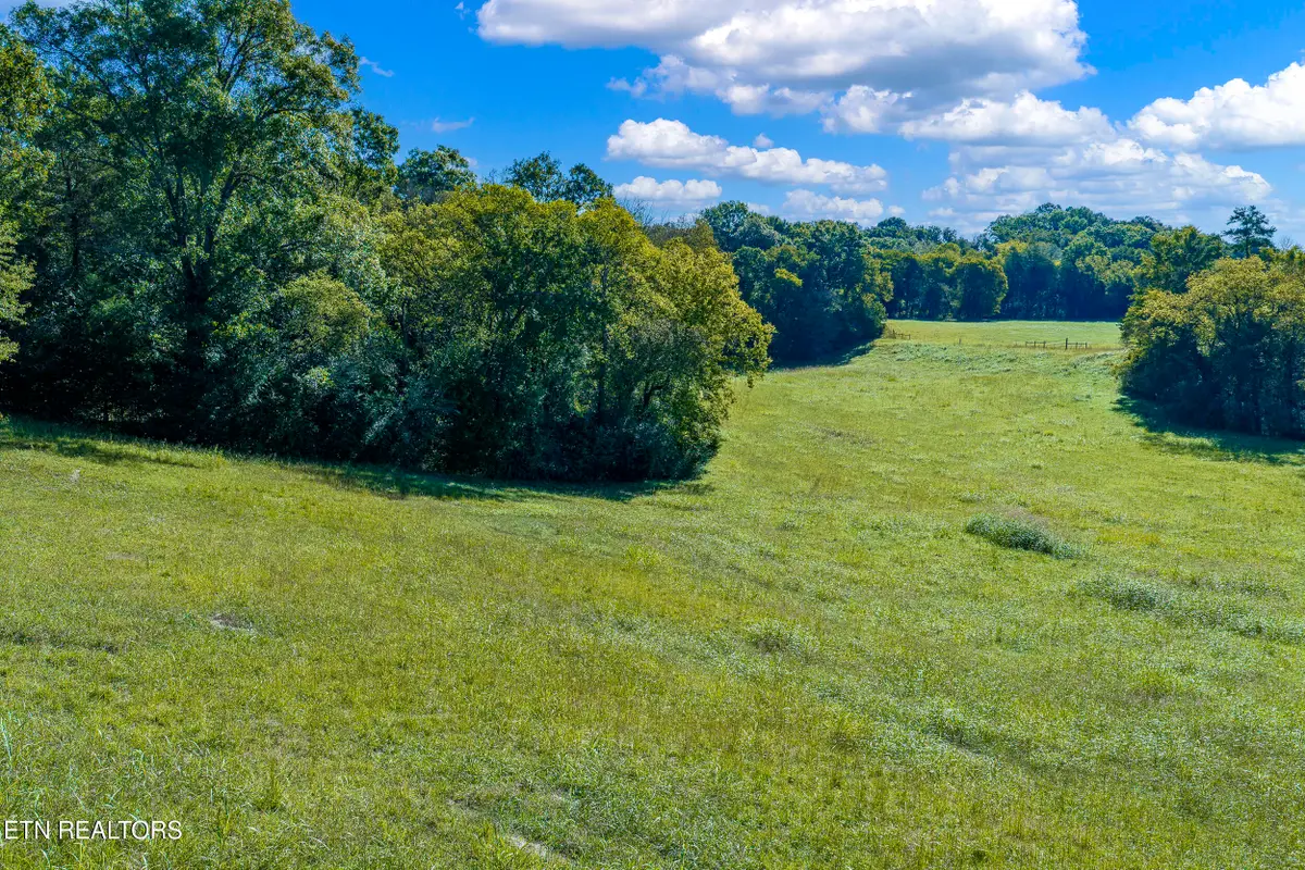 Richland Rd, Blaine, TN 37709 - #1