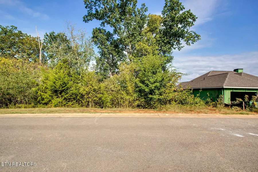 585 Black Cove Lane, Loudon, TN 37774 - #2