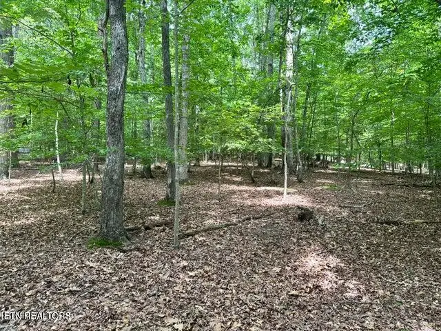 Woods Ridge Rd, Dandridge, TN 37725 - #1