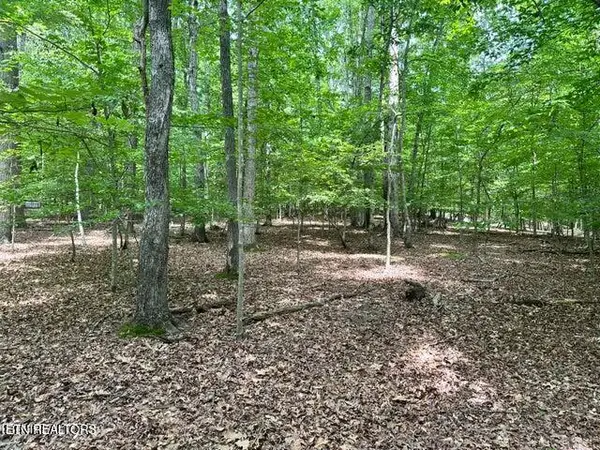 Woods Ridge Rd, Dandridge, TN 37725