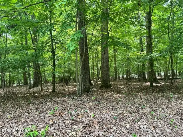 Woods Ridge Rd, Dandridge, TN 37725 - #2