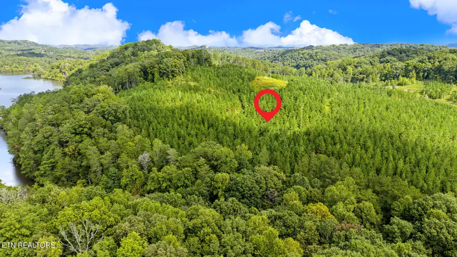 2067 Winding Trail, Vonore, TN 37885 - #3