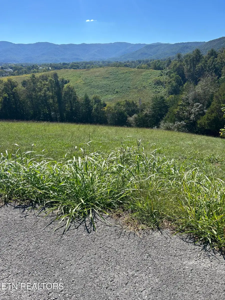 Mountain Perkins Lane, Jacksboro, TN 37757 - #2