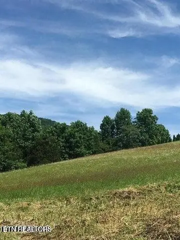 Mountain Perkins Lane, Jacksboro, TN 37757 - #3