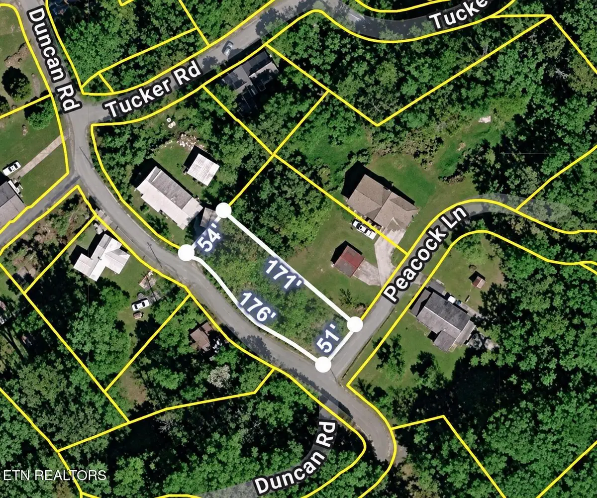 213 Duncan Rd, Briceville, TN 37710 - #1