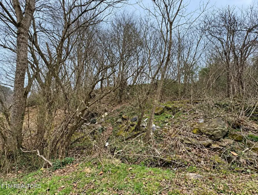 213 Duncan Rd, Briceville, TN 37710 - #2
