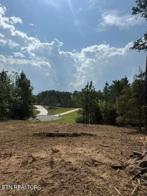 638 Red Hill Lane, Greenback, TN 37742 - #1