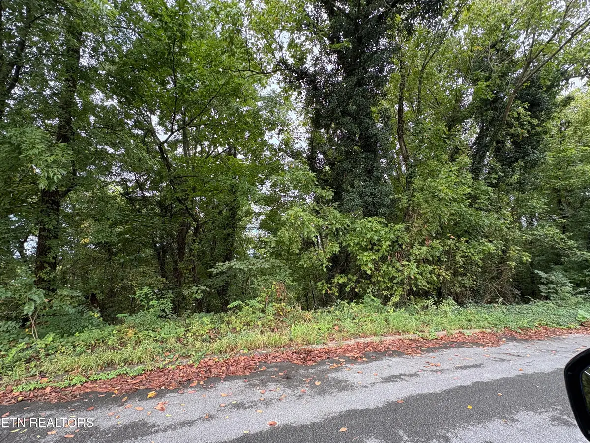 Dogwalk Rd, Greeneville, TN 37745 - #1