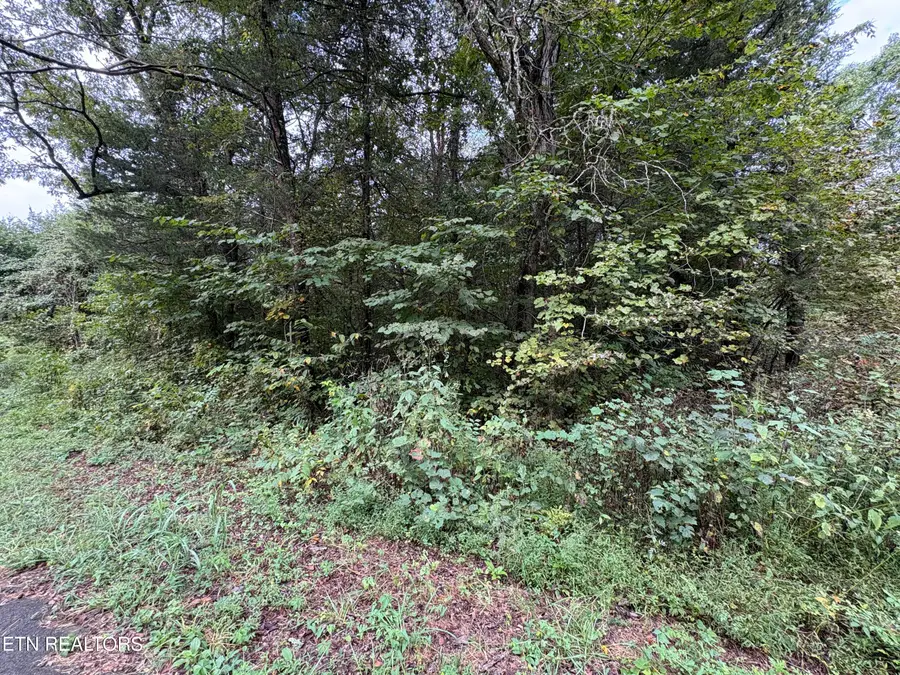 Dogwalk Rd, Greeneville, TN 37745 - #2