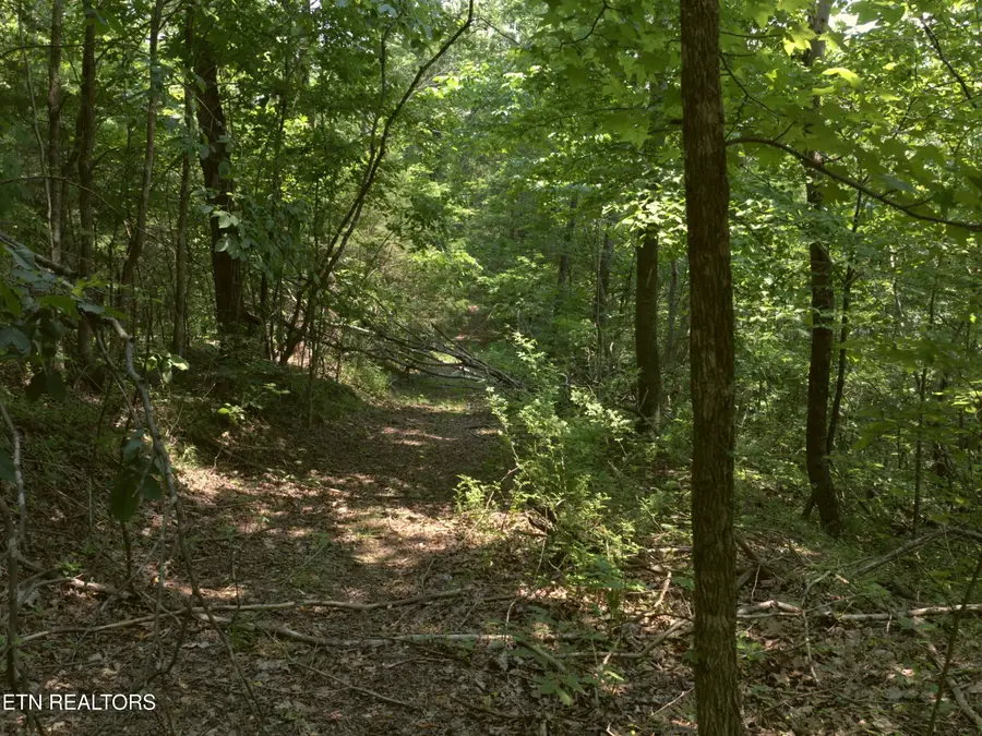 Lot 4 & 7 Weber Lane Lane, Celina, TN 38551 - #2