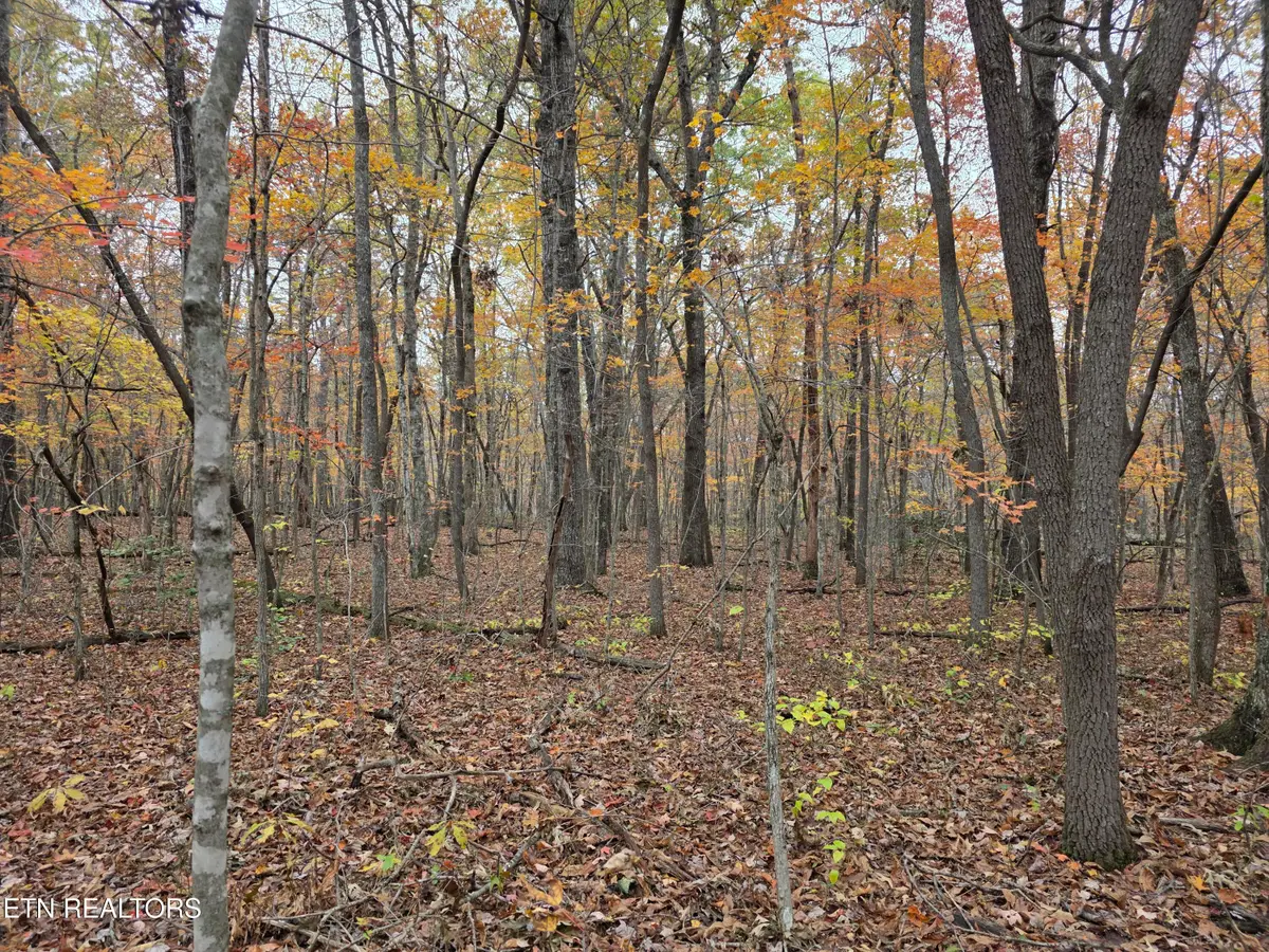 6 Divide Tr, Monterey, TN 38574 - #1