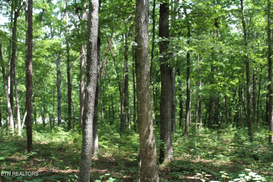 Pickett Park Hwy, Jamestown, TN 38556 - #2