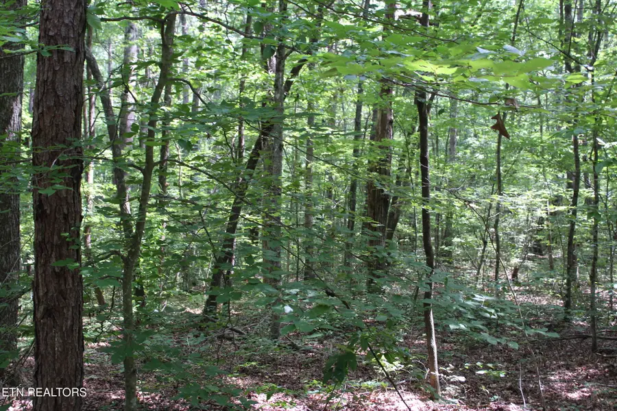Pickett Park Hwy, Jamestown, TN 38556 - #3