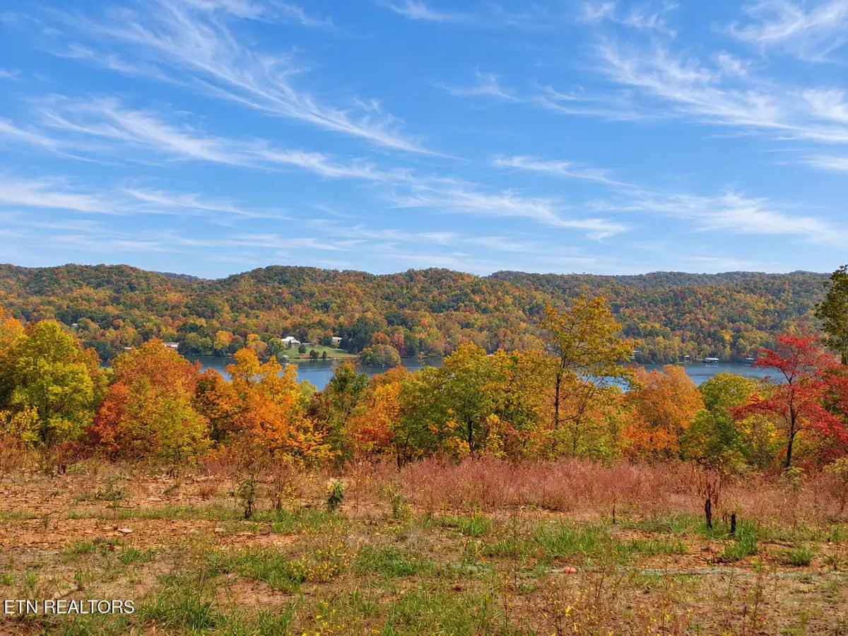 0.77 acres Spruce Drive, Spring City, TN 37381 - #1