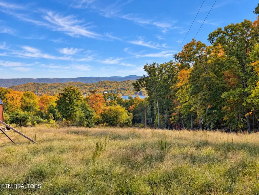 0.77 acres Spruce Drive, Spring City, TN 37381 - #2