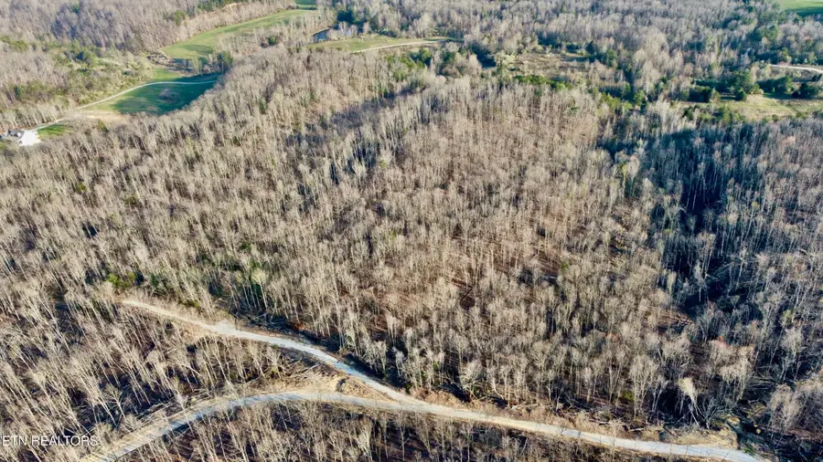 Lot#12 Mill Creek Rd, Sunbright, TN 37872 - #3