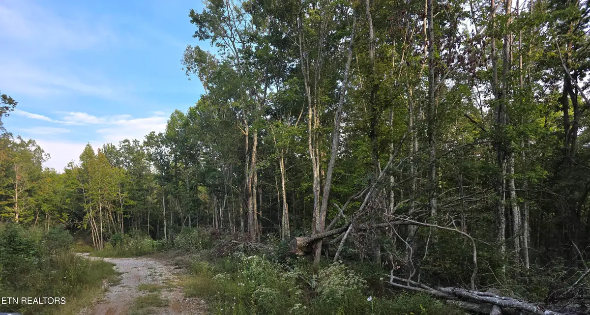 Lot#10 Mill Creek Rd, Sunbright, TN 37872 - #1