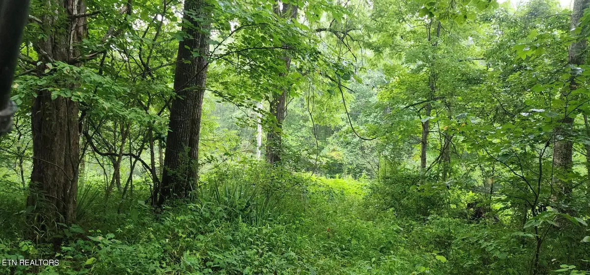 Rockhouse Creek - Church Rd, Pioneer, TN 37847 - #1