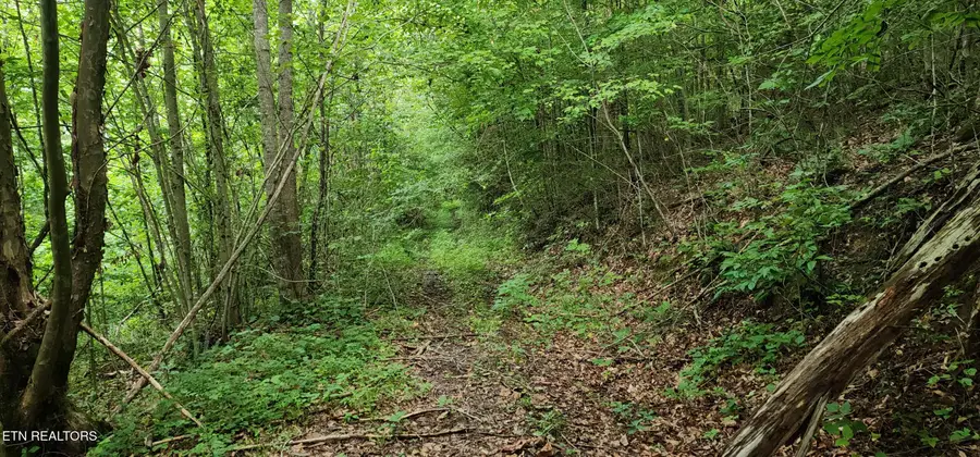 Rockhouse Creek - Church Rd, Pioneer, TN 37847 - #2