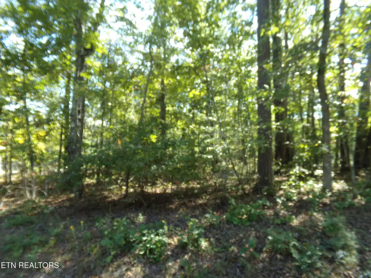 200 Nehasane Lane, Crossville, TN 38572 - #1