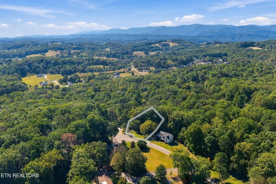 Ridgeway Court, Norris, TN 37828 - #2