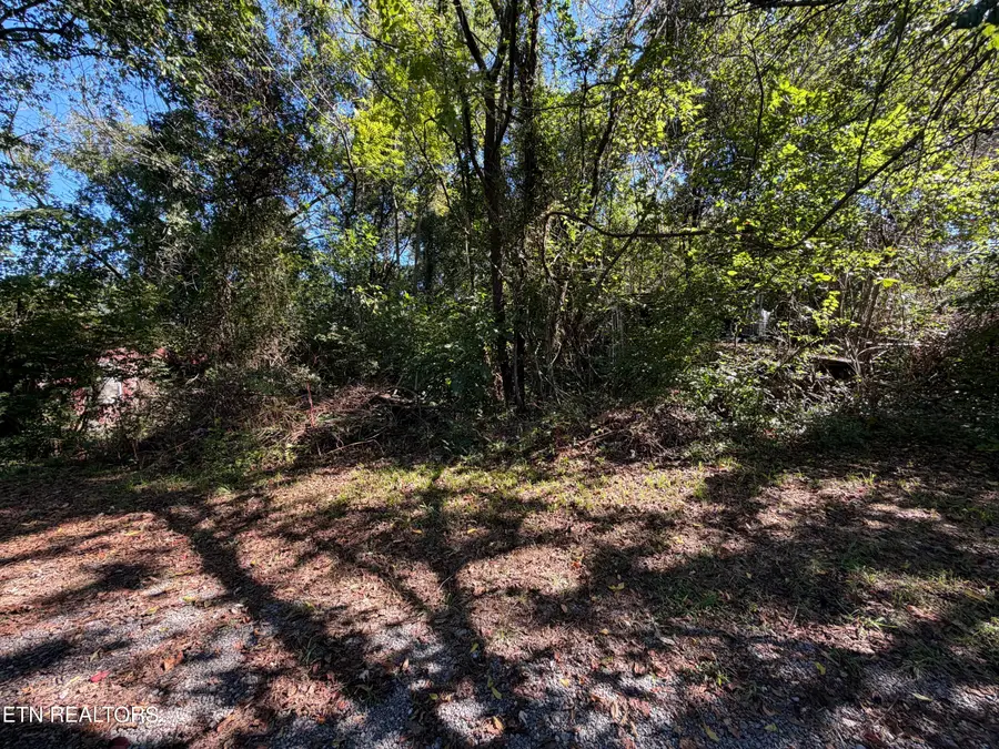 5204 Murphy Rd, Knoxville, TN 37918 - #3