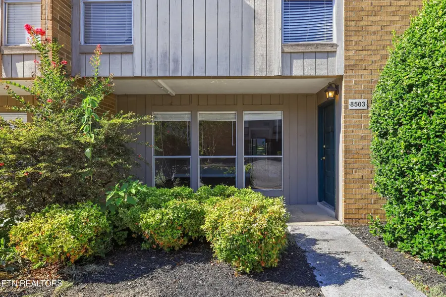 8503 Ankara Court, Knoxville, TN 37923 - #3