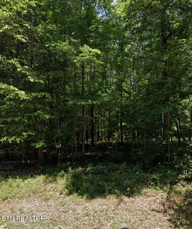 119 Beachwood Drive, Crossville, TN 38558 - #1