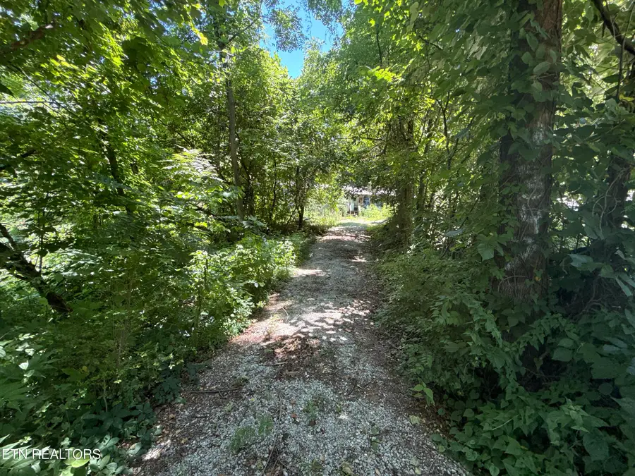 1347 Sharp Lane, Caryville, TN 37714 - #2