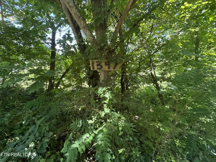 1347 Sharp Lane, Caryville, TN 37714 - #3