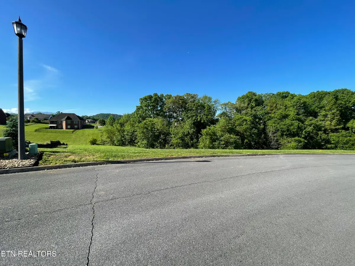Alum Cave Cove, Sevierville, TN 37862 - #1