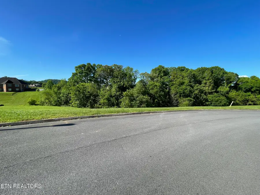 Alum Cave Cove, Sevierville, TN 37862 - #2