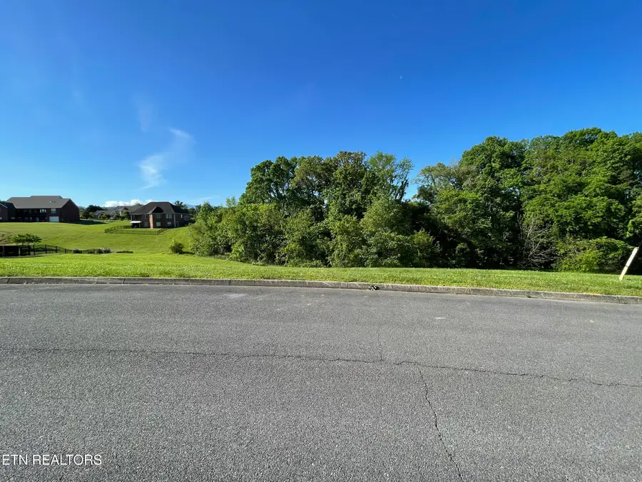 Alum Cave Cove, Sevierville, TN 37862 - #3
