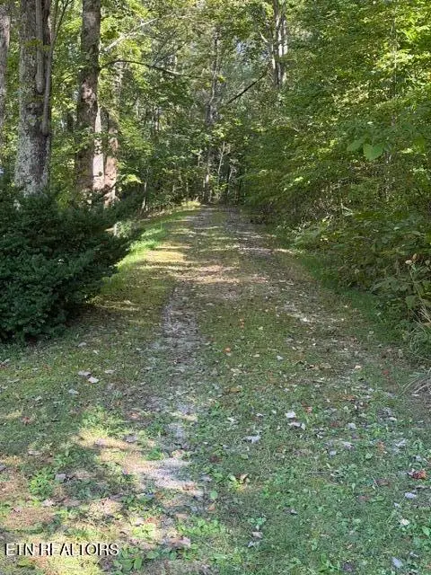 Heather Hills Drive, Rose Hill, VA 24281