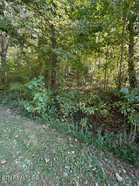 Heather Hills Drive, Rose Hill, VA 24281 - #2