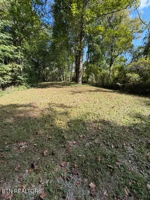 Heather Hills Drive, Rose Hill, VA 24281 - #3