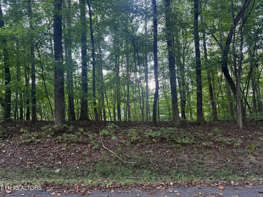 322 Dudala Point, Loudon, TN 37774 - #2