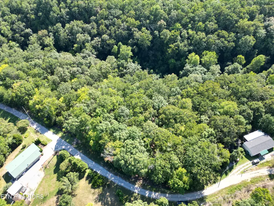 Lake Overlook Drive, Rockwood, TN 37854 - #2
