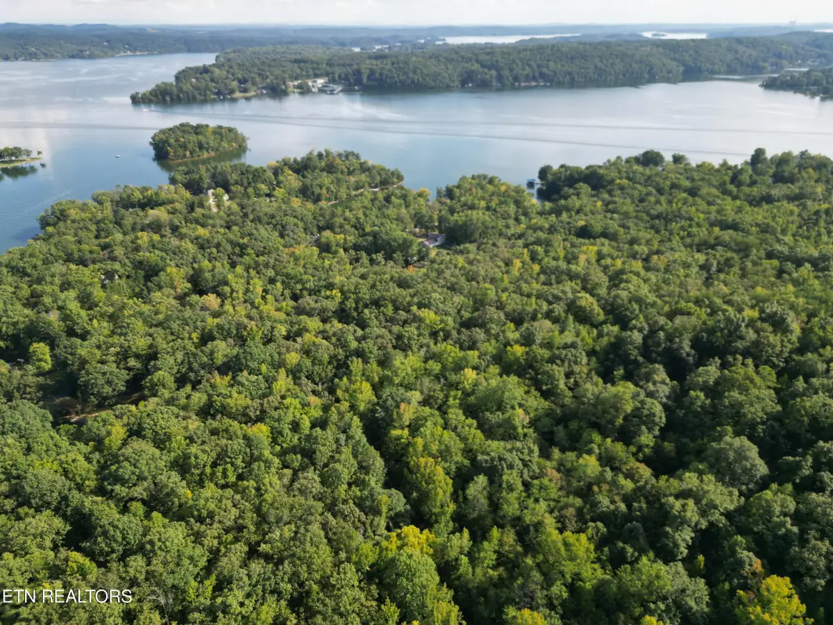 Ledgerwood Heights Drive, Rockwood, TN 37854 - #1