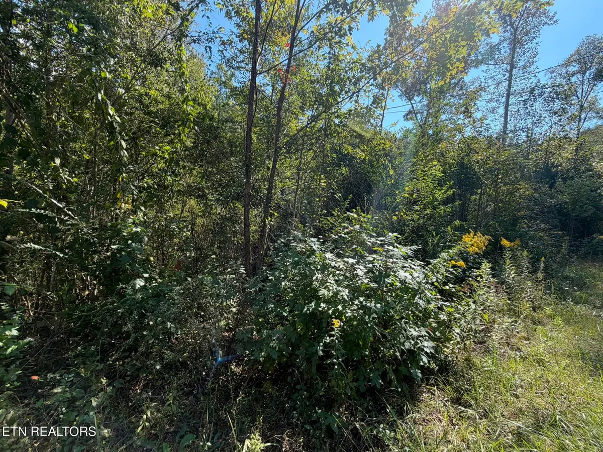 1783 Airport Rd, Oakdale, TN 37829 - #1