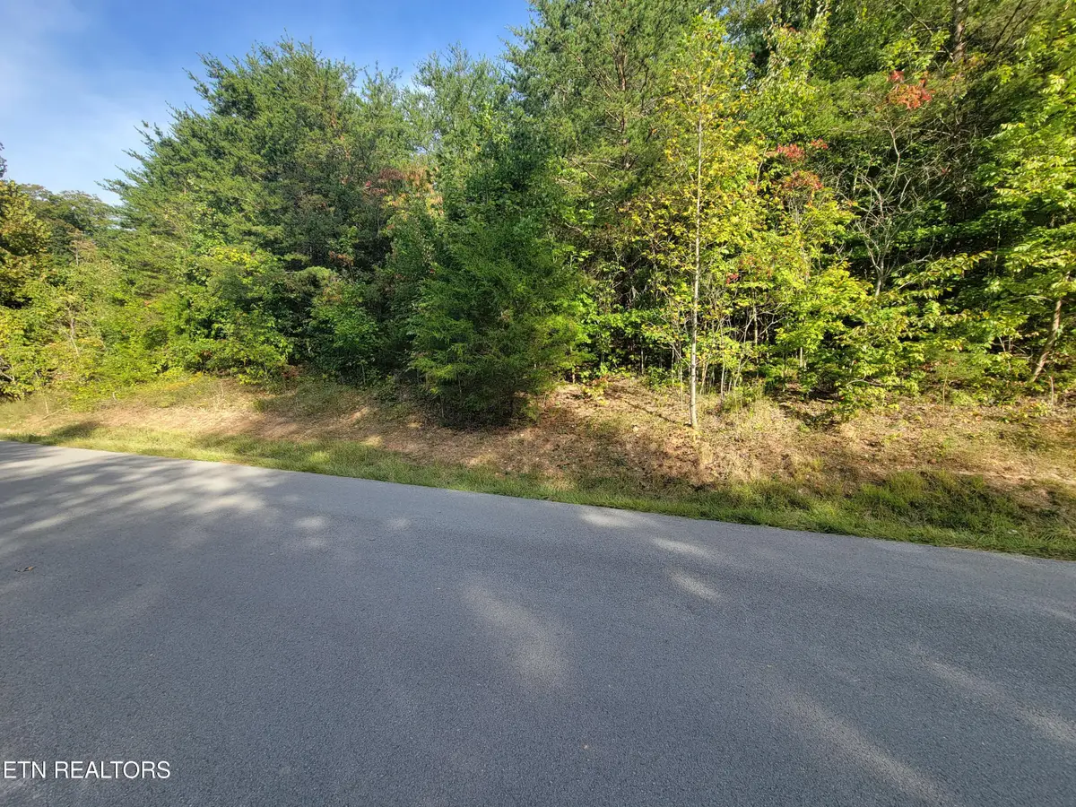 Lot 51 Hickory Point Lane, Maynardville, TN 37807 - #1