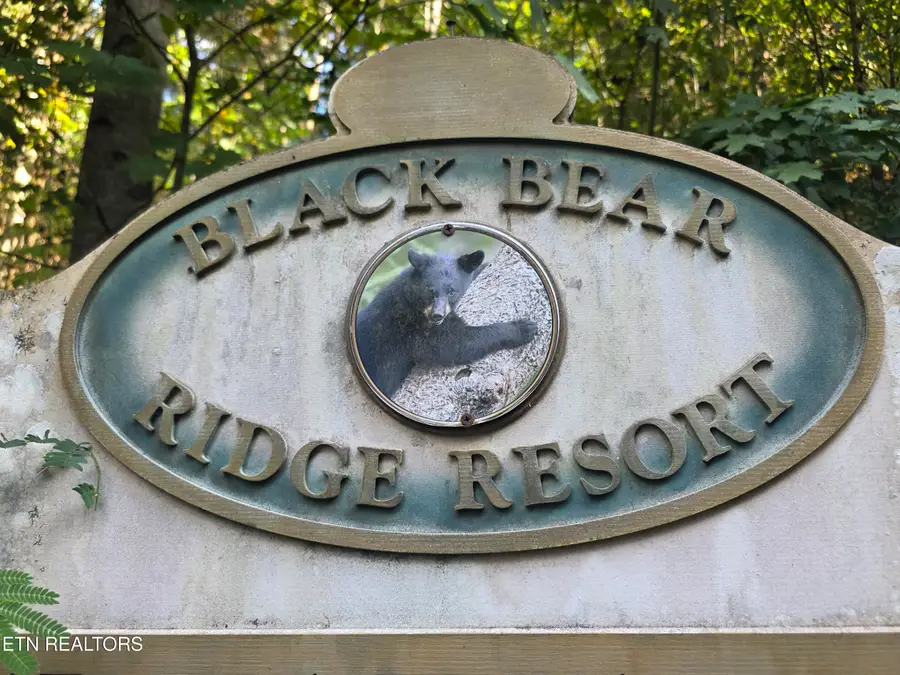 Black Bear Cub Way, Pigeon Forge, TN 37862 - #3