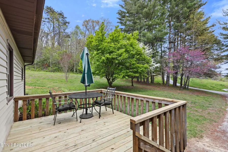 175 Johnson Lane, Rocky Top, TN 37769 - #3